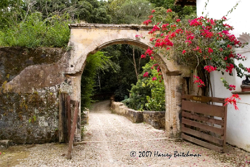 Hacienda Jalisco No-1349.jpg